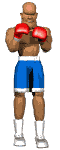boxer_1_2punch_lw.gif