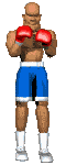 boxer_1_2punch_lc.gif