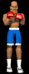 boxer_1_2punch_lb.gif