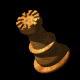 rook_mb.gif