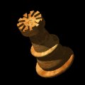 rook_lb.gif
