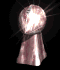 superbowltrophy_rotat_a_sb.gif