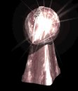superbowltrophy_rotat_a_lb.gif