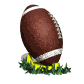 football_teedup_sw.gif