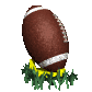 football_teedup_sc.gif