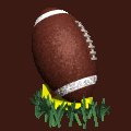 football_teedup_mc.gif