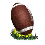 football_teedup_lw.gif