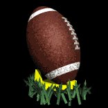 football_teedup_lb.gif