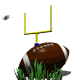 field_goal_sw.gif