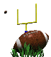 field_goal_sc.gif