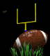field_goal_sb.gif