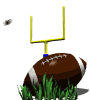 field_goal_mw.gif
