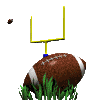 field_goal_mc.gif