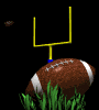 field_goal_mb.gif