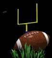 field_goal_lb.gif