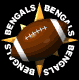 bengals_mb.gif