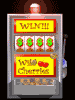 slotmachine_winner_mb.gif