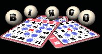 bingo_balls_with_cards_mc.gif