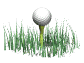 golf_ball_tee_grass_b_a_sw.gif