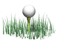 golf_ball_tee_grass_b_a_mw.gif