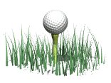 golf_ball_tee_grass_b_a_lw.gif