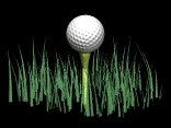 golf_ball_tee_grass_b_a_lb.gif