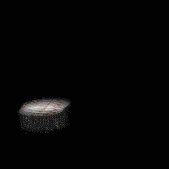 hockey_puck_detail_lb.gif