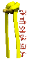 yellowbelt_martialart_a_sc.gif