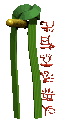 camouflagebelt_martia_a_mc.gif