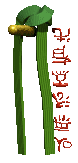 camouflagebelt_martia_a_lc.gif