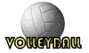 volleyball_sign_mw.gif
