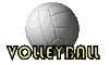 volleyball_sign_mc.gif