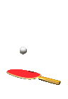 ping_pong_bounce_mc.gif