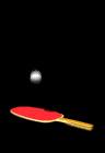 ping_pong_bounce_mb.gif