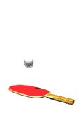 ping_pong_bounce_lw.gif