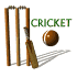 cricket_sign_sw.gif