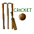 cricket_sign_sc.gif
