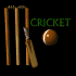 cricket_sign_sb.gif