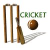 cricket_sign_mw.gif