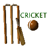 cricket_sign_mc.gif