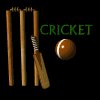 cricket_sign_mb.gif