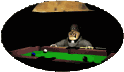 pool_shark_sc.gif