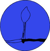 G0708797.WMF
