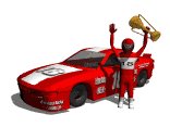 nascar_driver_win_cel_a_lw.gif