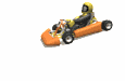 driver_race_cart_weav_a_mw.gif