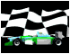 checkered_race_sb.gif