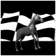 checkered_horse_mb.gif