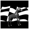 checkered_horse_lb.gif