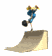 skateboarder_serious__a_tw.gif