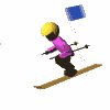 skier_slalom_mw.gif